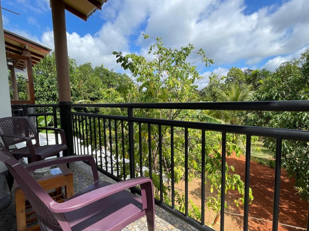 Dew Ashi Homestay シギリヤ エクステリア 写真