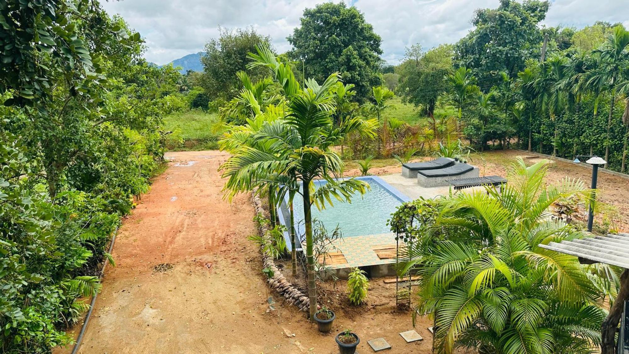 Dew Ashi Homestay シギリヤ エクステリア 写真
