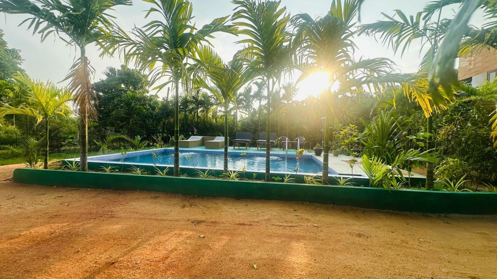 Dew Ashi Homestay シギリヤ エクステリア 写真