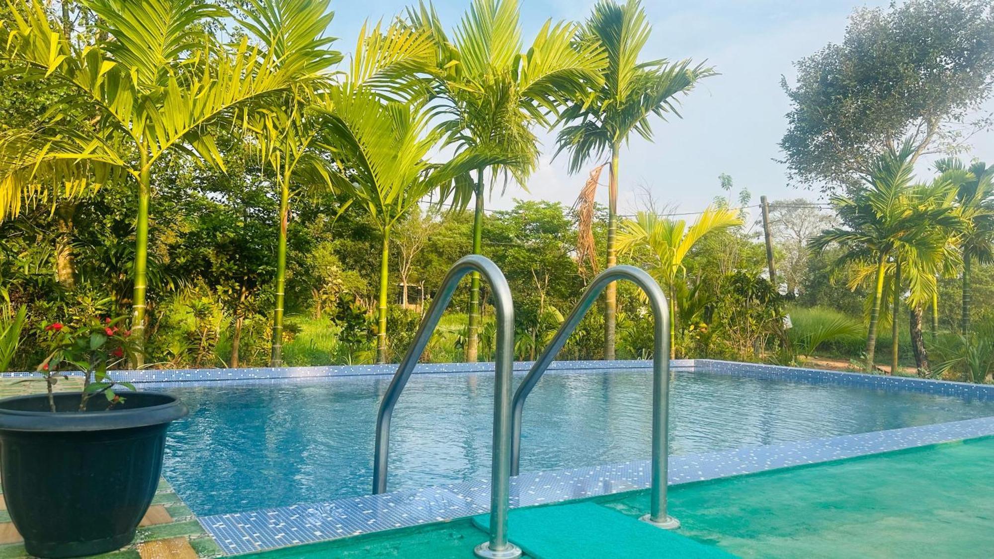 Dew Ashi Homestay シギリヤ エクステリア 写真