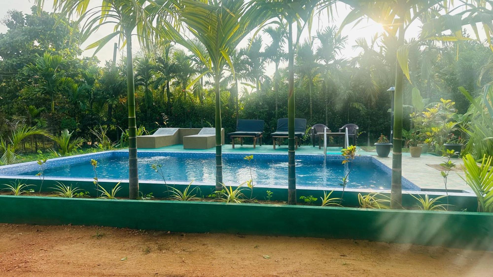 Dew Ashi Homestay シギリヤ エクステリア 写真